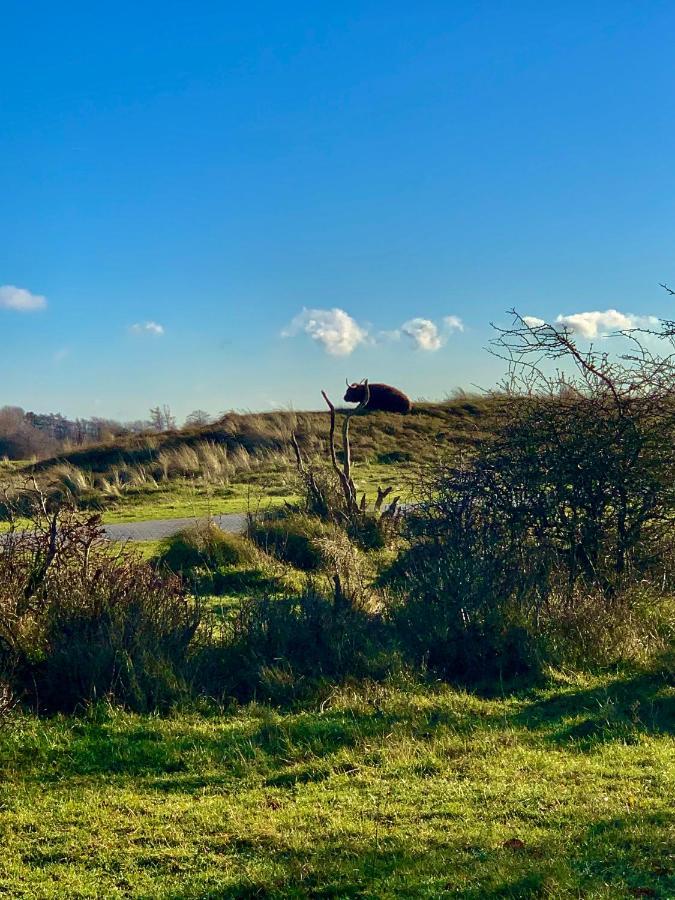 Huize Louwra Villa Egmond-Binnen Dış mekan fotoğraf